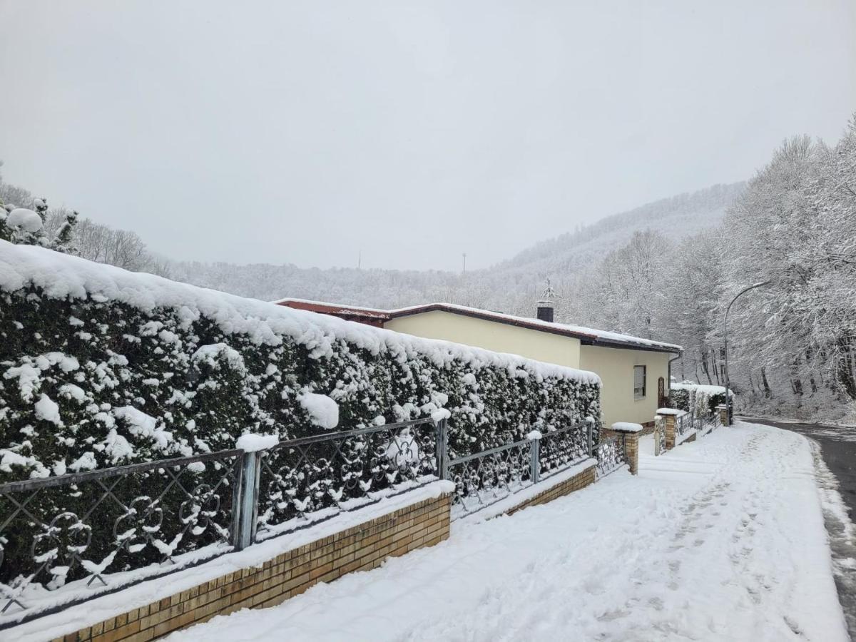 Erholung Pur Bei Nina Apartamento Bad Lauterberg Exterior foto