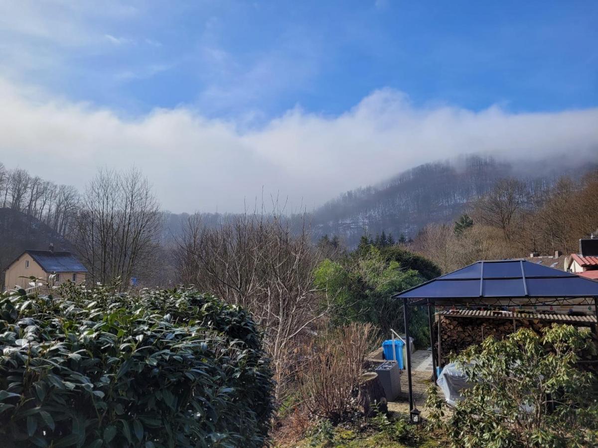 Erholung Pur Bei Nina Apartamento Bad Lauterberg Exterior foto